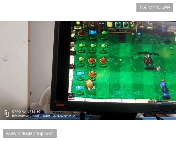 在电脑上玩老虎机的最佳方法，实用技巧与注意事项解析